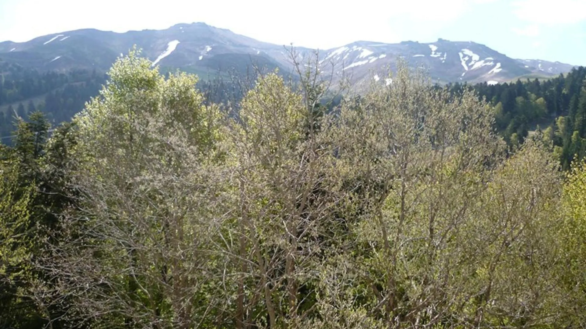 Charmant T2 Proche Pistes Avec Parking Et Balcon - Fr-1-787-79 Laveissiere 0*,  France